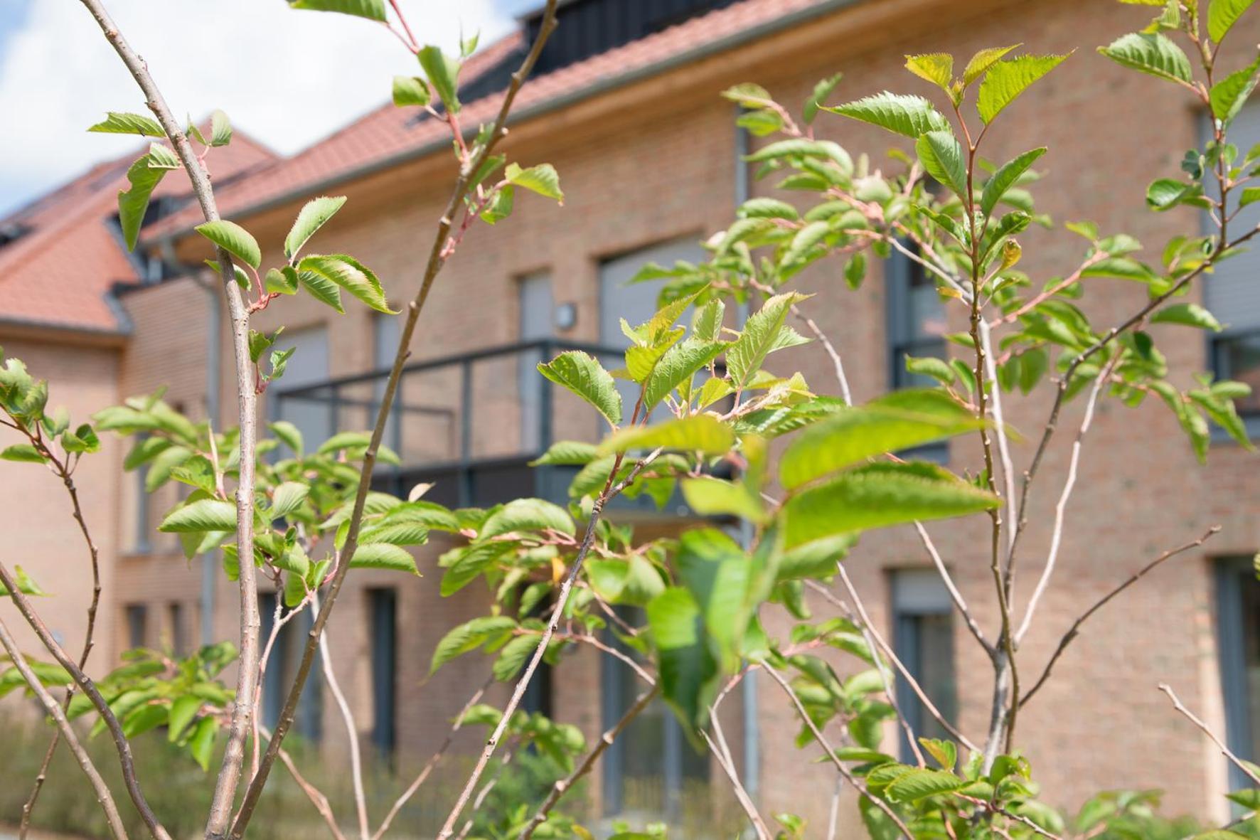Wohnen am Südstrand - Ferienwohnung 1 1 Wyk auf Föhr Exterior foto