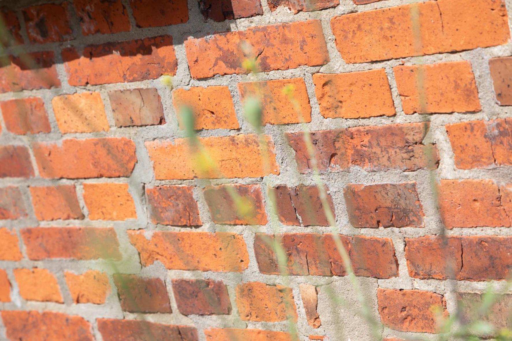 Wohnen am Südstrand - Ferienwohnung 1 1 Wyk auf Föhr Exterior foto