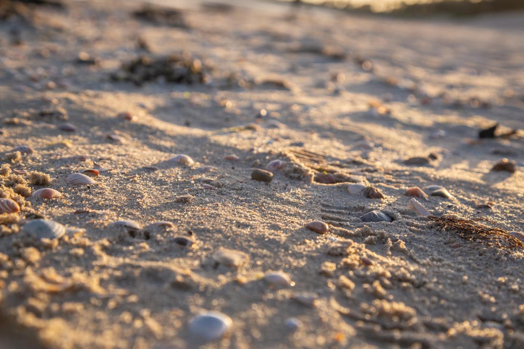 Wohnen am Südstrand - Ferienwohnung 1 1 Wyk auf Föhr Exterior foto